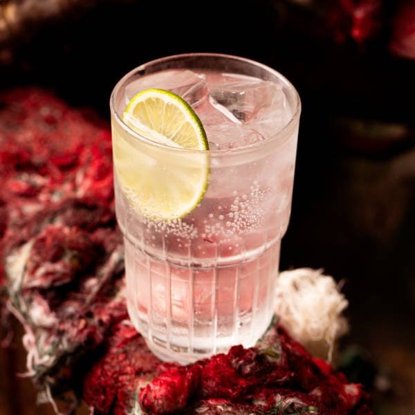 GIN TÔNICA
