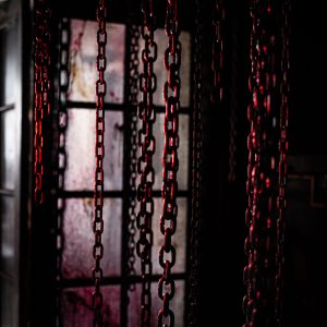 rolim_juliamagalhaes-3